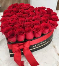 Gift